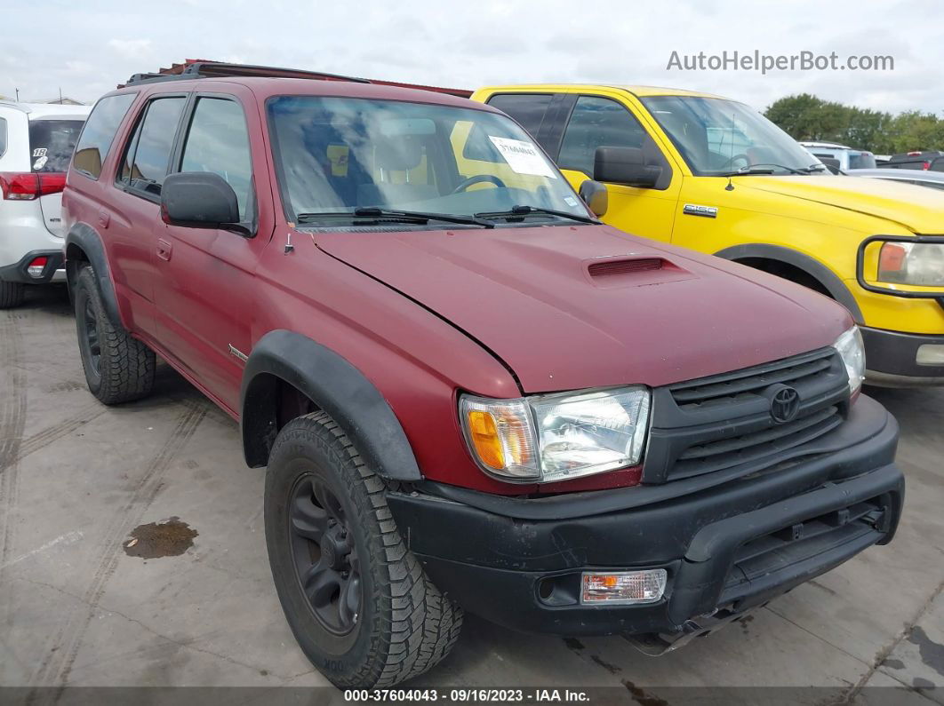 2002 Toyota 4runner Sr5 Maroon vin: JT3GN86R420257237