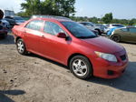 2010 Toyota Corolla Base Red vin: JTDBU4EE0AJ057528