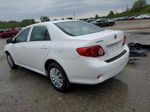 2010 Toyota Corolla Base Белый vin: JTDBU4EE0AJ080369