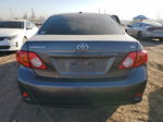 2010 Toyota Corolla Base Gray vin: JTDBU4EE2AJ057935