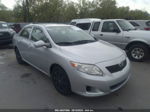 2010 Toyota Corolla   Silver vin: JTDBU4EE3AJ065946