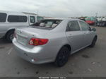 2010 Toyota Corolla   Серебряный vin: JTDBU4EE3AJ065946