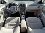 2010 Toyota Corolla Base Gray vin: JTDBU4EE3AJ087185