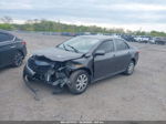 2010 Toyota Corolla Le Серый vin: JTDBU4EE7AJ066808