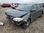 2010 Toyota Corolla Base Gray vin: JTDBU4EE7AJ084967