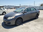 2010 Toyota Corolla Base Charcoal vin: JTDBU4EE8A9108856