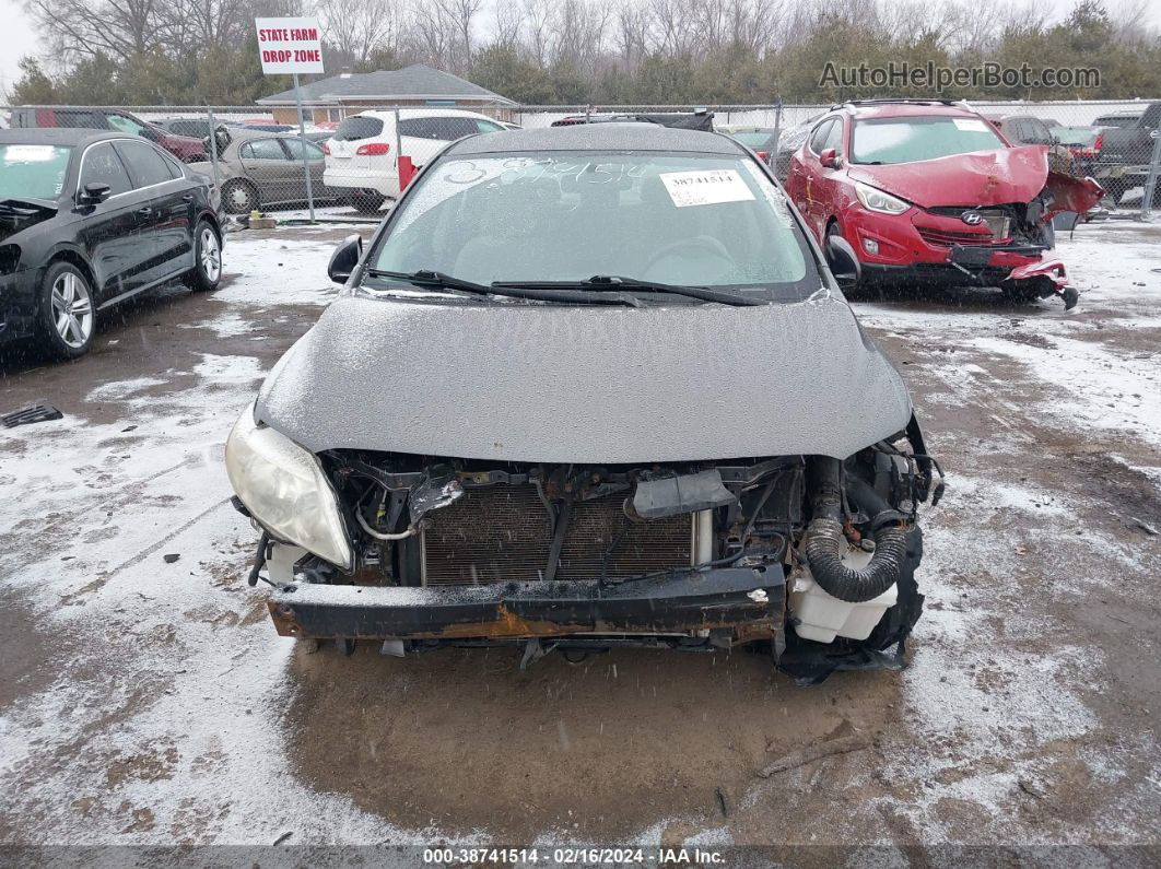 2010 Toyota Corolla Le Серый vin: JTDBU4EE8AJ056014