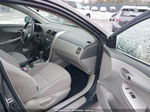 2010 Toyota Corolla Le Серый vin: JTDBU4EE8AJ056014