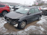 2010 Toyota Corolla Le Серый vin: JTDBU4EE8AJ056014