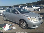 2010 Toyota Corolla   Silver vin: JTDBU4EE9A9095731