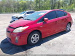 2011 Toyota Prius Two Красный vin: JTDKN3DU0B0311150