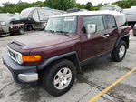 2007 Toyota Fj Cruiser  Фиолетовый vin: JTEBU11F170041295