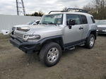 2007 Toyota Fj Cruiser  Silver vin: JTEBU11F170098127