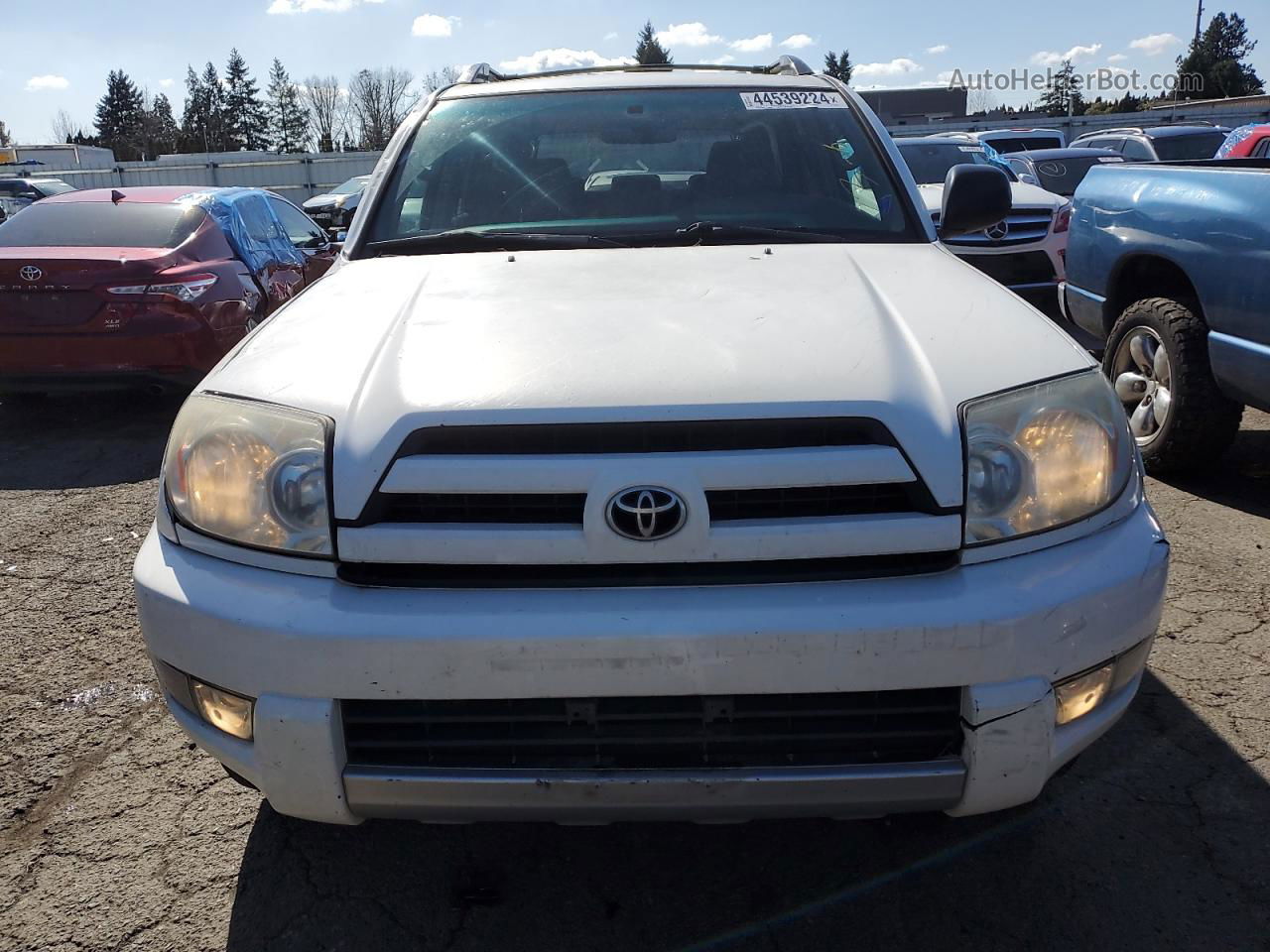 2004 Toyota 4runner Sr5 White vin: JTEBU14R640036059