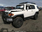 2010 Toyota Fj Cruiser   Белый vin: JTEBU4BF0AK090791