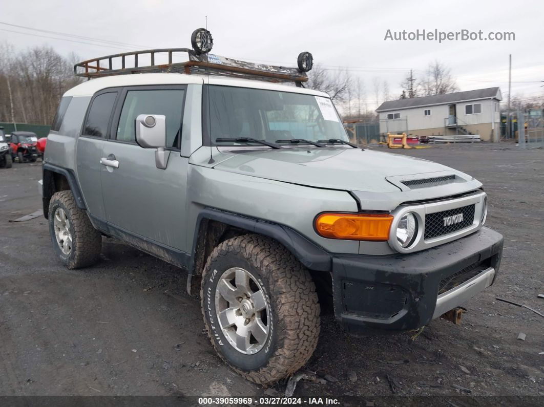 2010 Toyota Fj Cruiser   Silver vin: JTEBU4BF2AK079372