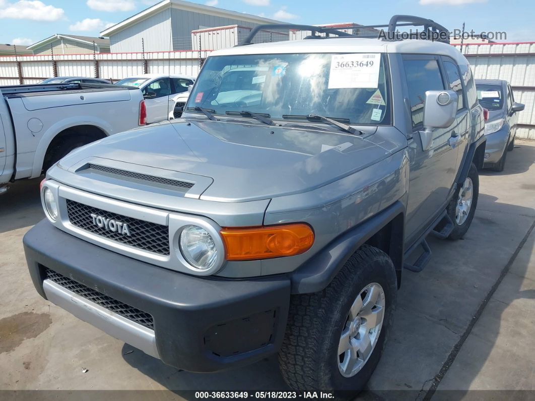 2010 Toyota Fj Cruiser Gray vin: JTEBU4BF2AK083454