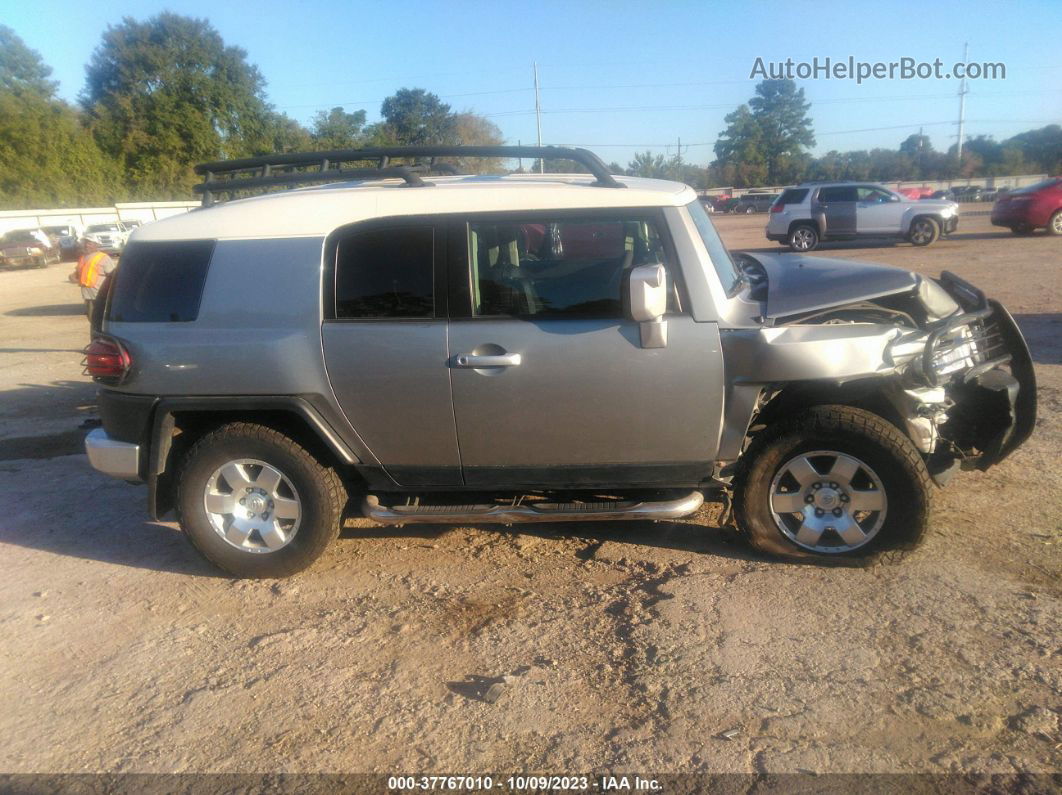 2010 Toyota Fj Cruiser   Silver vin: JTEBU4BF2AK084474