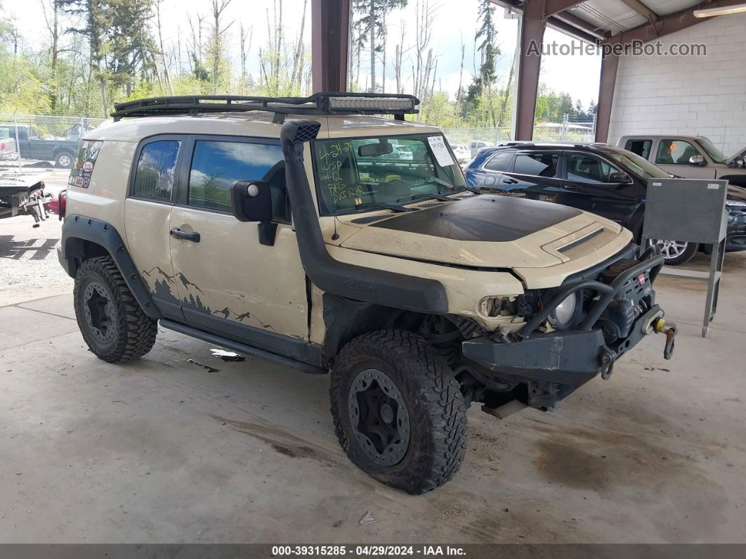 2010 Toyota Fj Cruiser Tan vin: JTEBU4BF6AK076233