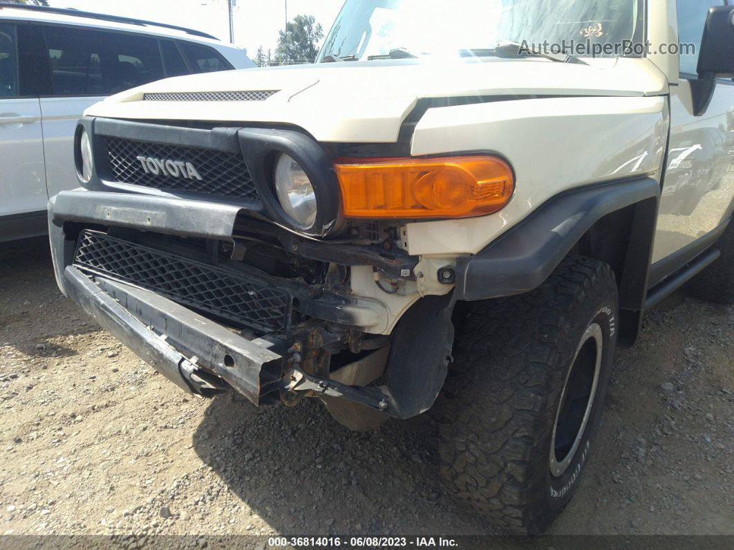 2010 Toyota Fj Cruiser   Tan vin: JTEBU4BF7AK076676