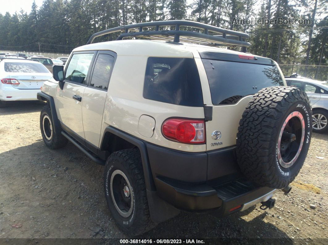 2010 Toyota Fj Cruiser   Tan vin: JTEBU4BF7AK076676