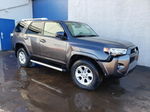 2017 Toyota 4runner Sr5/sr5 Premium Charcoal vin: JTEBU5JR3H5480116