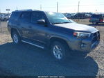 2014 Toyota 4runner Sr5 Серый vin: JTEBU5JR5E5195185