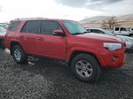 2017 Toyota 4runner Sr5/sr5 Premium Red vin: JTEBU5JR5H5407670