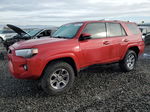 2017 Toyota 4runner Sr5/sr5 Premium Red vin: JTEBU5JR5H5407670