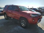 2017 Toyota 4runner Sr5/sr5 Premium Red vin: JTEBU5JR8H5423796