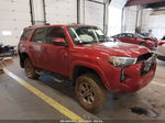 2014 Toyota 4runner Sr5 Red vin: JTEBU5JR9E5189096