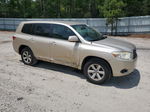 2008 Toyota Highlander  Gold vin: JTEDS41AX82001789