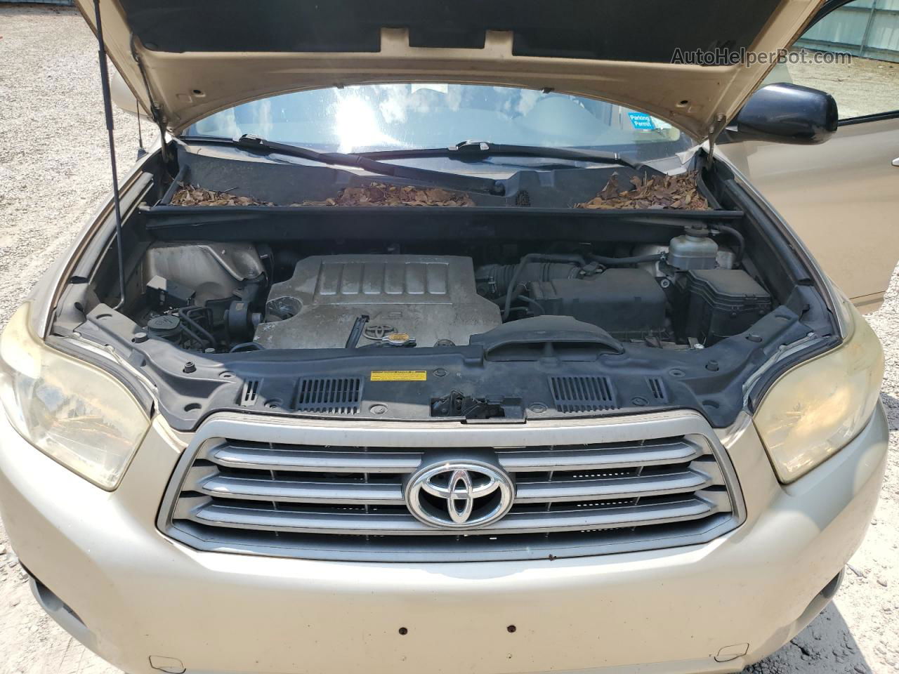 2008 Toyota Highlander  Золотой vin: JTEDS41AX82001789