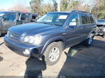 2002 Toyota Highlander Limited Gray vin: JTEHF21A320080400