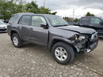 2021 Toyota 4runner Sr5/sr5 Premium Gray vin: JTENU5JR8M5947232