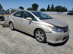 2011 Lexus Hs 250h Beige vin: JTHBB1BA0B2045475