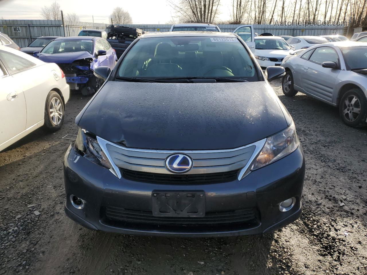 2011 Lexus Hs 250h Charcoal vin: JTHBB1BA3B2043283