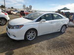 2011 Lexus Hs 250h Белый vin: JTHBB1BA3B2046636