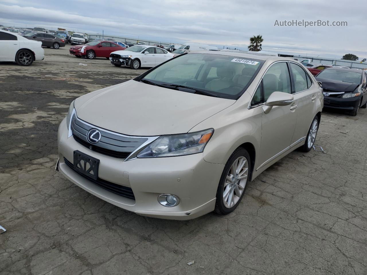 2011 Lexus Hs 250h Beige vin: JTHBB1BA4B2046404