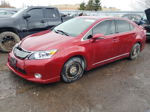 2011 Lexus Hs 250h Red vin: JTHBB1BA4B2047763