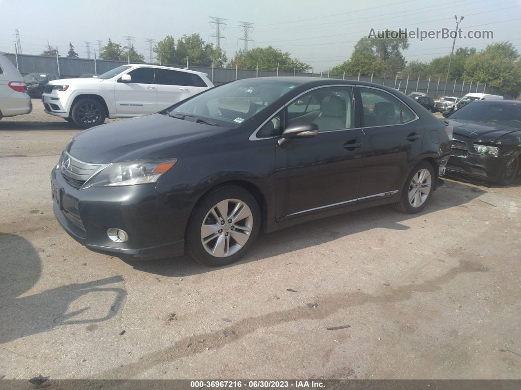 2011 Lexus Hs 250h   Gray vin: JTHBB1BA5B2044905