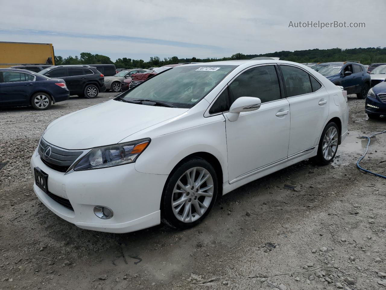 2011 Lexus Hs 250h White vin: JTHBB1BA6B2043004