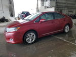 2011 Lexus Hs 250h Red vin: JTHBB1BA6B2047456