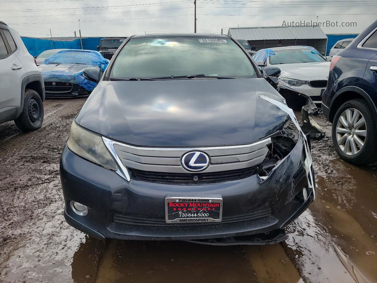 2011 Lexus Hs 250h Gray vin: JTHBB1BA7B2043805