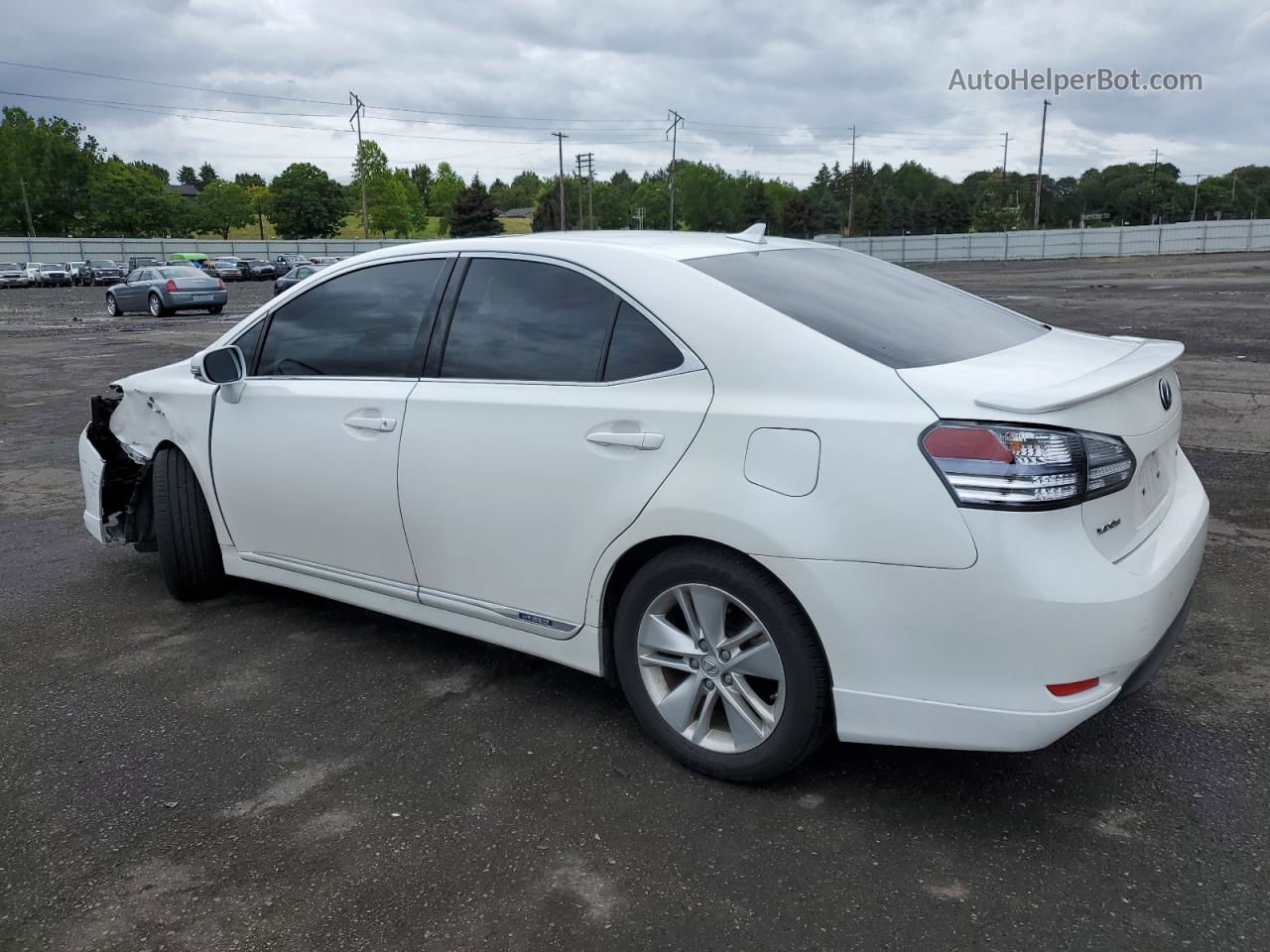 2011 Lexus Hs 250h Белый vin: JTHBB1BA7B2044842