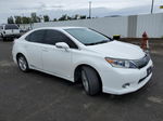 2011 Lexus Hs 250h Белый vin: JTHBB1BA7B2044842