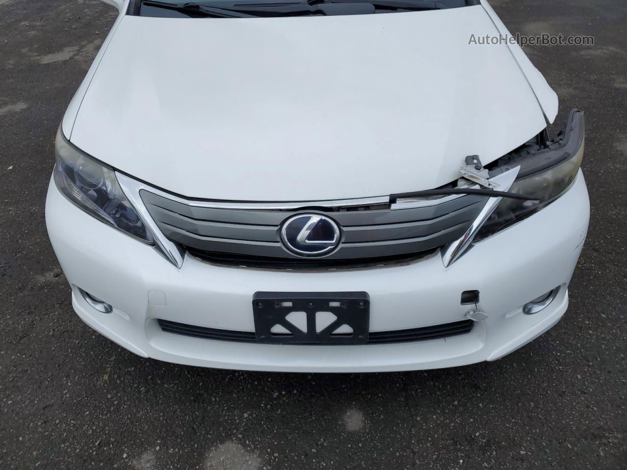 2011 Lexus Hs 250h Белый vin: JTHBB1BA7B2044842