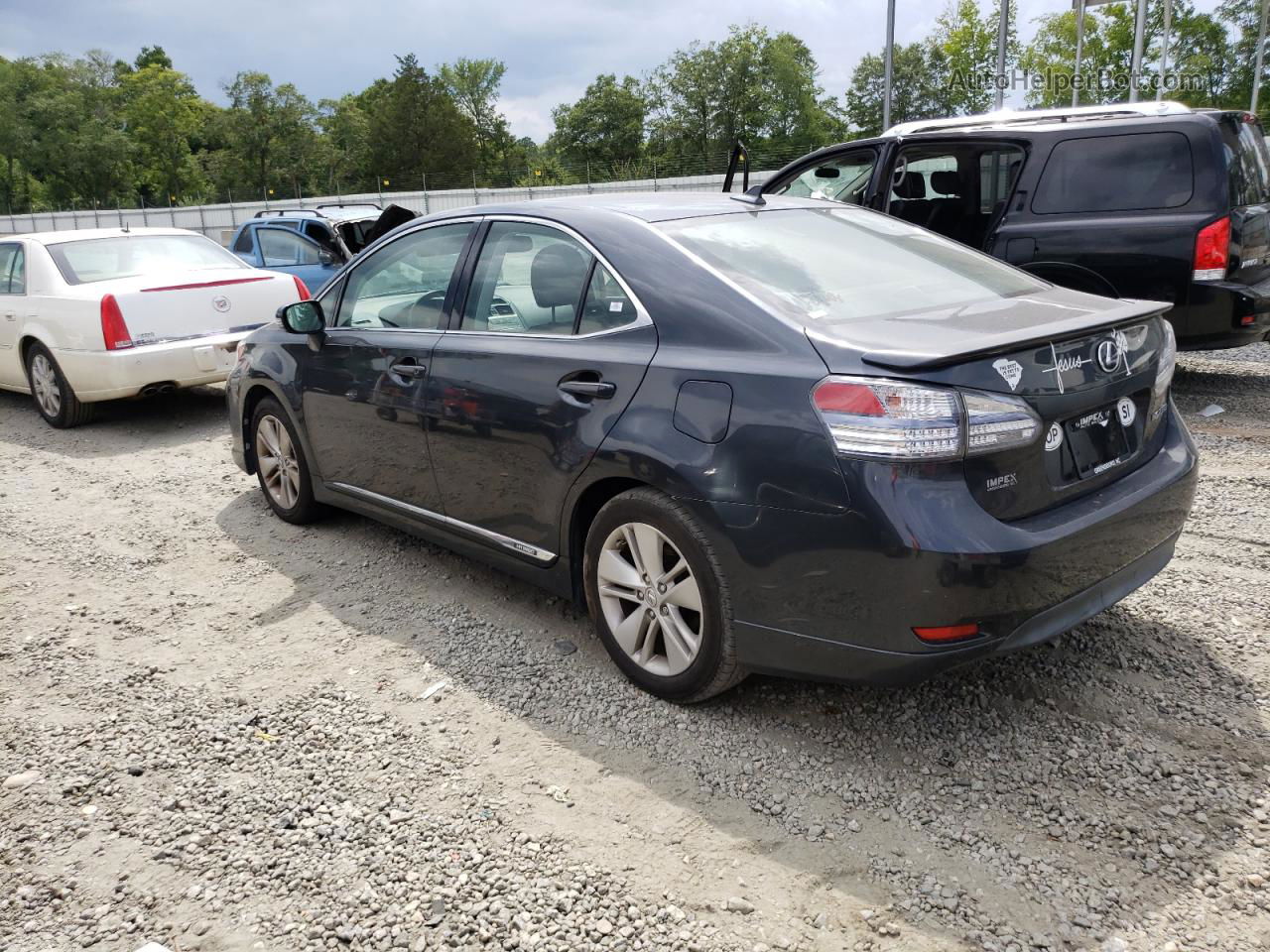 2011 Lexus Hs 250h Gray vin: JTHBB1BA8B2043702