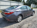 2014 Lexus Es 350 Gray vin: JTHBK1GG0E2120239