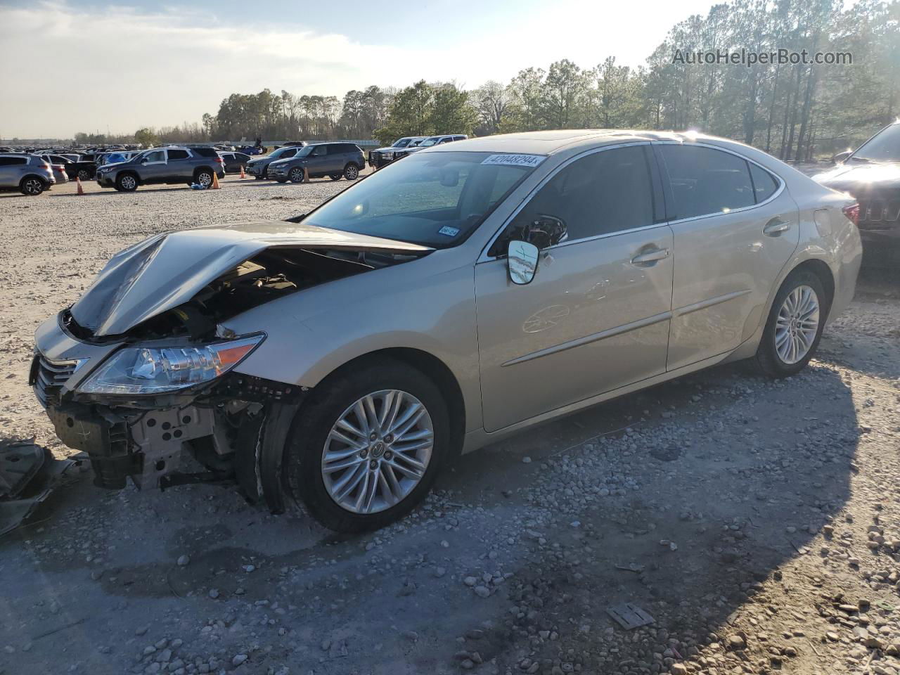 2015 Lexus Es 350 Gold vin: JTHBK1GG0F2181236